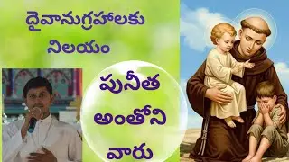 దైవానుగ్రహాలకు నిలయం//Reflection on St. Anthony//Fr Allam Sagar Manoj//Guntur Diocese//