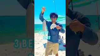 The 3 BEST BAIT When Fishing For Pompano In The Surf! #fishing #pompano #fishbites #shorts