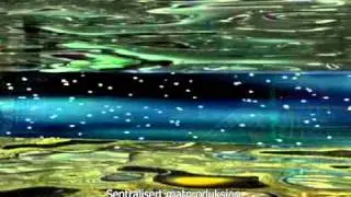 Kosmisk Symfoni No.1 - del2