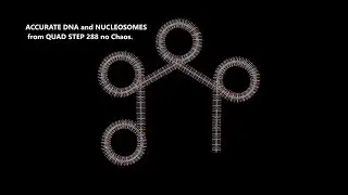 QUAD STEP 288 - Accurate 3D Nucleosomes.