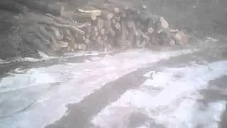 MOV 0000017