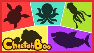 🦈Siapa Hiu Terkuat Kompilasi | Pelajari hewan laut | Hiu putih besar Orka | Lagu Anak | #Cheetahboo