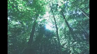 uglyy (ugly3k) - excogitate (prod. uglyy)