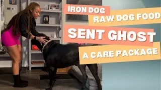 Iron Dog Raw Sent Ghost A Care Package After Surgery 🐶🙌🏽@irondograw