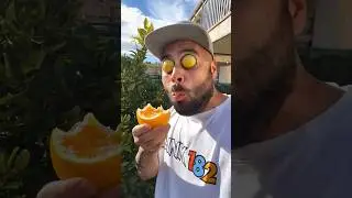Want to try my oranges?😱🍊✨#funny #10004