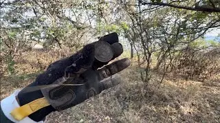 ESTUVIERON OBSERVANDOME CUANDO encontramos todo Este DINERO Hasta que lo mire Se FUE...