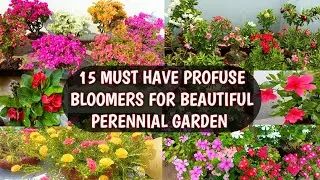 15 MUST HAVE PROFUSE BLOOMERS FOR BEAUTIFUL GARDEN 😍🌸 | 15 MUST HAVE PERENNIAL FLOWERING PLANTS 😍🌸