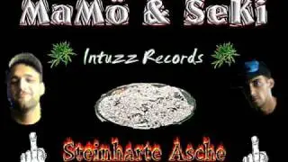 Intuzz Records - Steinharte Asche