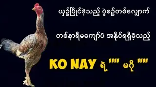 တစ်နာရီမကျော်သည့် စံချိန်တွေနှင့် ကိုနေ၏ မဂိုကြီး