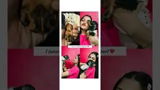 Ig story instagram ideas🫶🏻#puppy #doglover #ig #shortvideo