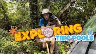 🐚 🦀 EXPLORING TIDE POOLS for Kids: LEARN about TIDE POOLS with Paige!