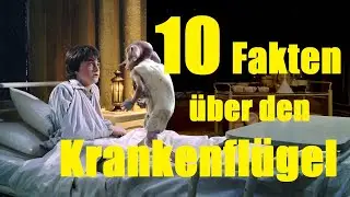 10 FAKTEN über den KRANKENFLÜGEL 🤕