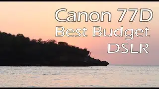 Canon 77D  - Canon EF-S18-135mm f/3.5-5.6 and Canon EF 85 mm f/1.8 USM Prime sample images.