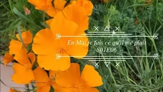 En Mai je fais ce qu'il me plaît S01E06