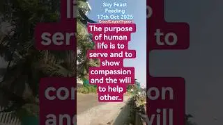Sky Feast for Crows, Pigeons & Eagles | Bird Feeding 17/10/25 #SkyFeast #BirdShorts #birdsfeeding