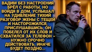 Жена и теща его НЕ ЗАМЕТИЛИ, а он, услышав их разговор, тут же схватился за телефон, пока не поздно