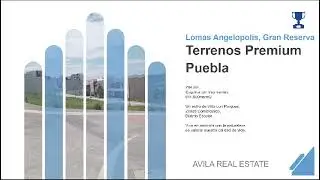 &Aacute;vila Real Estate