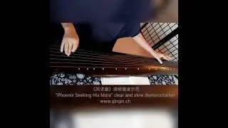 古琴曲《凤求凰》清晰慢速示范     Guqin 