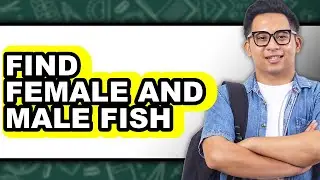 How to Find Female and Male Fish - Full Guide