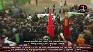 Alwida-E-Qafila Basilsila-E-Aserany Sham Syeda Bibi Zainab (s.a.) Qadimi Markazi Matmi Jaloos Chak 3