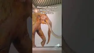 Mammoth National Monument, Waco Texas #rvlife #boondocking #nature #campinglife #hiking #roadtrips