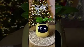 Intelligent Flowerpots with Sensors & Expressions | Smart Home Decor