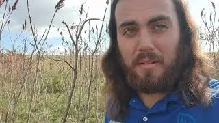 Identifying Sumacs and their Uses