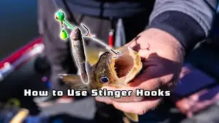 How to hook a minnow for walleye fishing with and without a stinger hook.