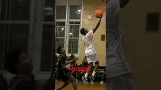 Springfield Gardens v. Forest Hills 2