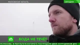 Новости прошедшего года Сурка | RYTP