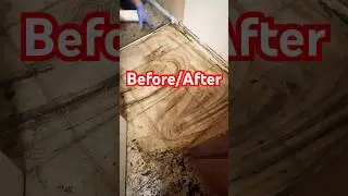 EXTREME HOUSE CLEANING