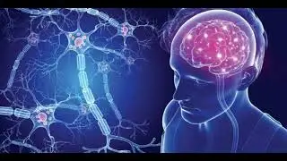 Multiple Sclerosis and Celiac Disease EP040