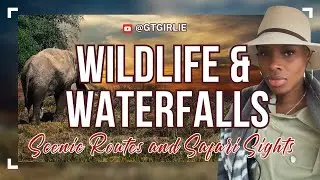 Let's Explore: Kruger Safari  🐘 Blyde River Canyon ✨  Lisbon Falls 🌊 Kruger Gate Hotel 🛏️