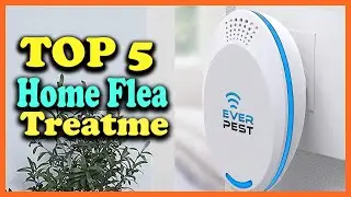✅Top 5 Best Home Flea Treatments of 2025
