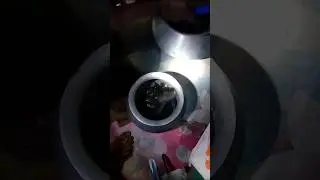 দেশি শিং মাছ #short #shortvideo #subscribe #yummy #recipe #bangla #cooking #video @mowsume_vlog