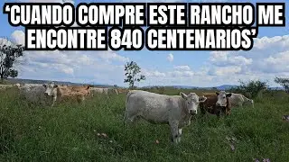 'Cuando compre este rancho me ENCONTRÉ 840 CENTENARIOS' | Como SEMBRAR RHODEX BELL? | RancheandoAndo