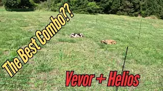 Vevor Electric Netting + Helios Mini 160 Review | Solar Fence for Pigs Tested