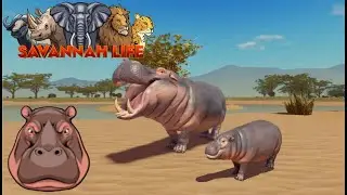 Savannah Life. 19# (Jogando de Hipopótamo)