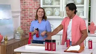 Set of 3 Professional Point & Spray Stain Removers by Campanelli on QVC