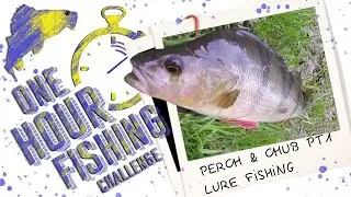 Kent Fishing uk | river perch and chub part 1 lure fishing, how to catch in 1 hour pt1