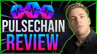 The Next 1000x Token *HUGE POTENTIAL* | Pulsechain Altcoin Review by CryptoCosta