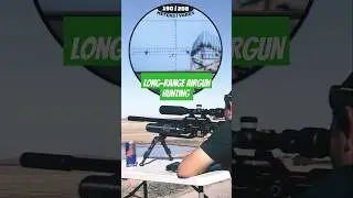 FX Impact M3 700mm | 40gr 22 cal slug at 1100fps | Unreal Airgun Accuracy #fxairguns