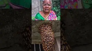 poison bee sting 😲🤦🏻&zwj;♀️ #dangerous | Try Today Amma