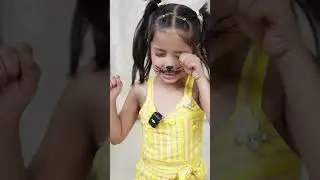 Dog & cat funny video
