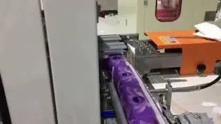 ZD C25 Soft Facial Tissue Packing Machine Wet Wipe Bundle Packing machine