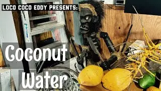 How to open a young coconut to drink the water
