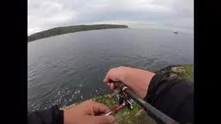 Botany Bay Squid Fishing