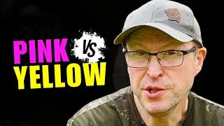 Does The Colour Of Your Bait REALLY Matter ⁉️