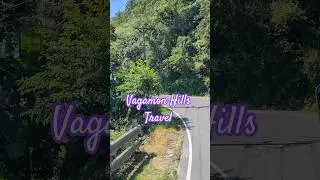 Scenic Drive to Vagamon 🌿⛰️ 💚