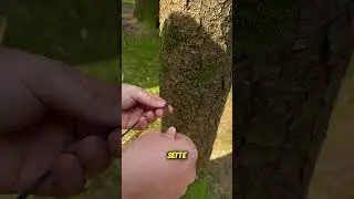Bushcraft-Knoten 2/3: Doppelter &Uuml;berschlag einfach erkl&auml;rt #bwonlineshop #bushcraft #knoten